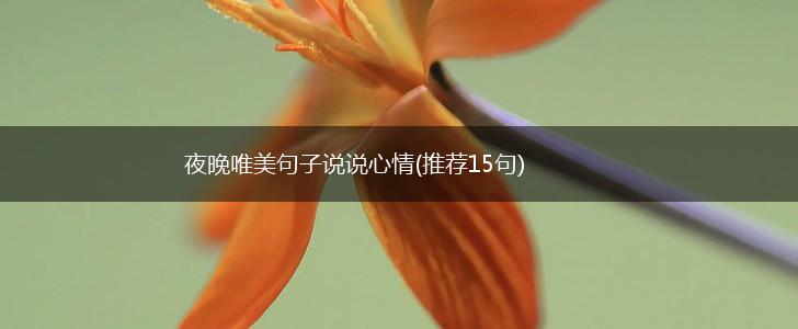 夜晚唯美句子说说心情(推荐15句),第1张