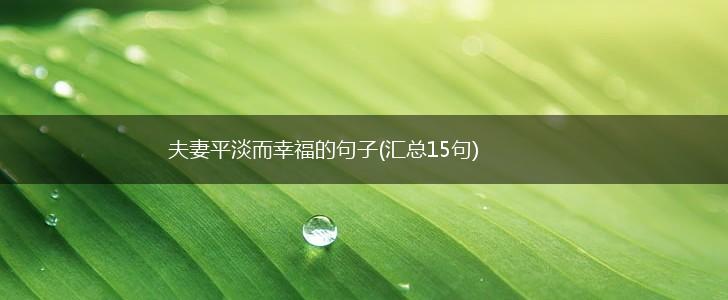 夫妻平淡而幸福的句子(汇总15句),第1张