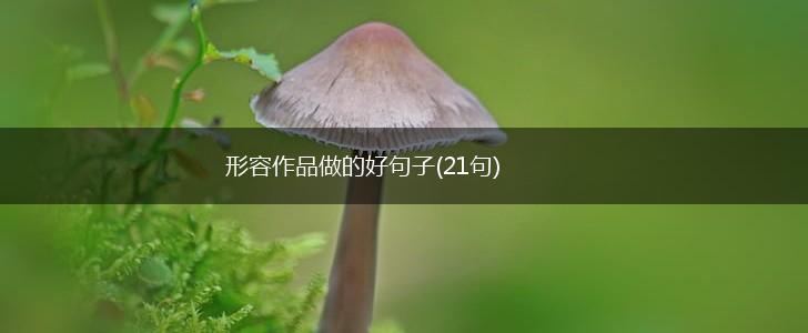 形容作品做的好句子(21句),第1张