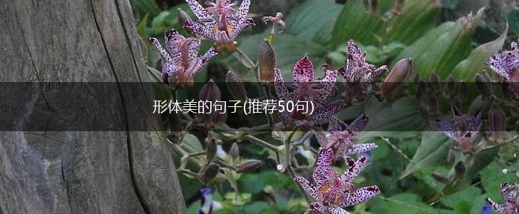 形体美的句子(推荐50句),第1张