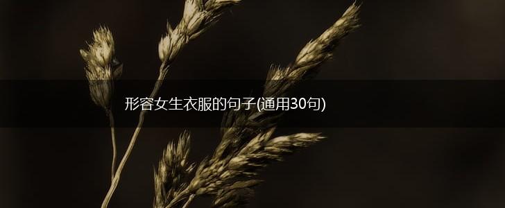 形容女生衣服的句子(通用30句),第1张