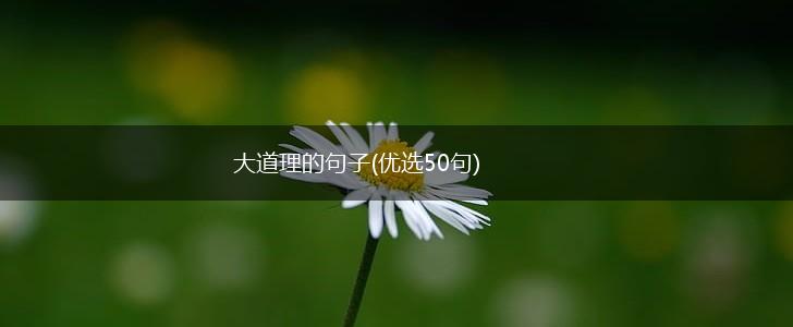 大道理的句子(优选50句),第1张