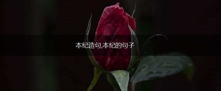 本纪造句,本纪的句子,第1张