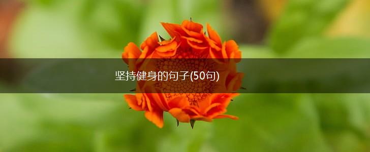 坚持健身的句子(50句),第1张