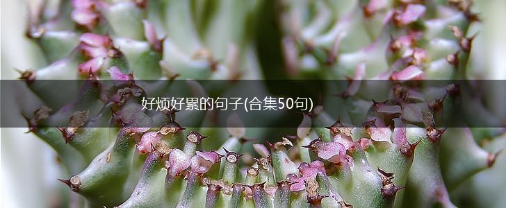 好烦好累的句子(合集50句),第1张