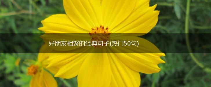 好朋友相聚的经典句子(热门50句),第1张