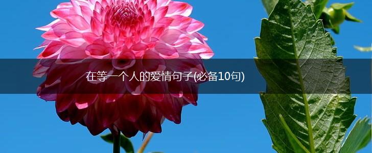 在等一个人的爱情句子(必备10句),第1张