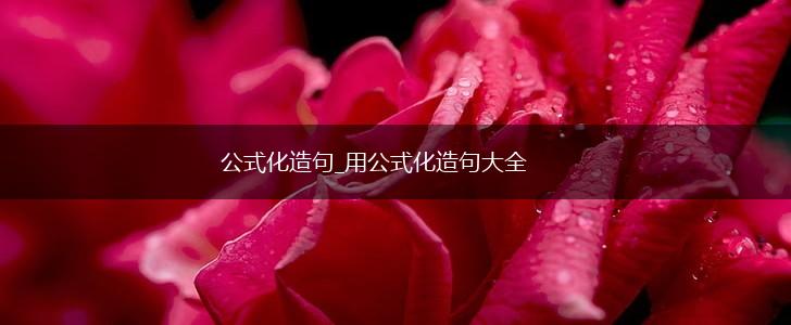 公式化造句_用公式化造句大全,第1张 公式化造句_用公式化造句大全,第1张