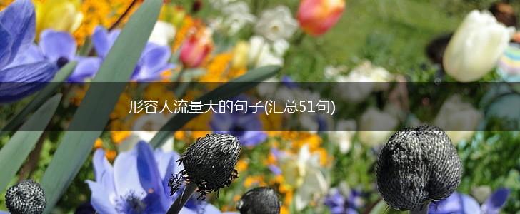 形容人流量大的句子(汇总51句),第1张
