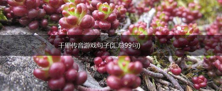 千里传音游戏句子(汇总99句),第1张