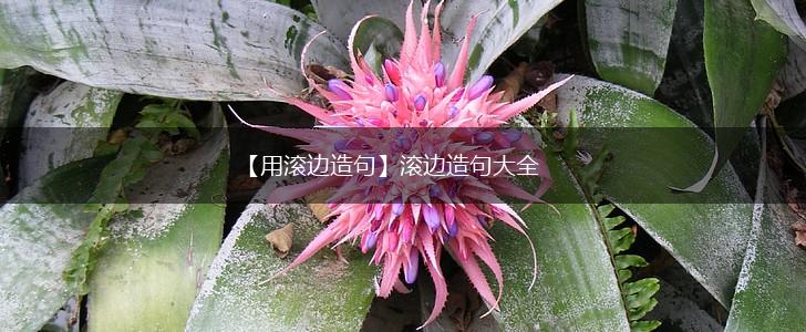 【用滚边造句】滚边造句大全,第1张 【用滚边造句】滚边造句大全,第1张