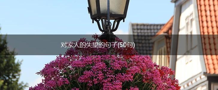 对家人的失望的句子(50句),第1张