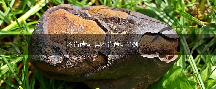 不肯造句_用不肯造句举例,第1张