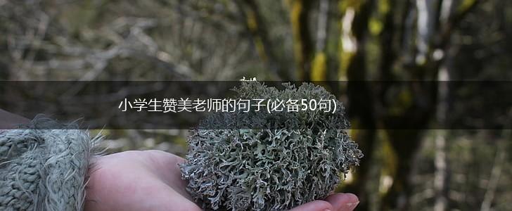 小学生赞美老师的句子(必备50句),第1张