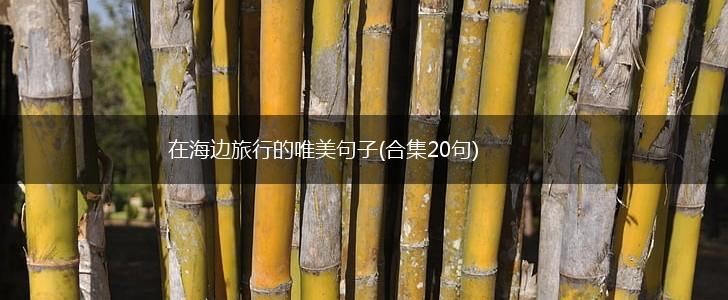 在海边旅行的唯美句子(合集20句),第1张