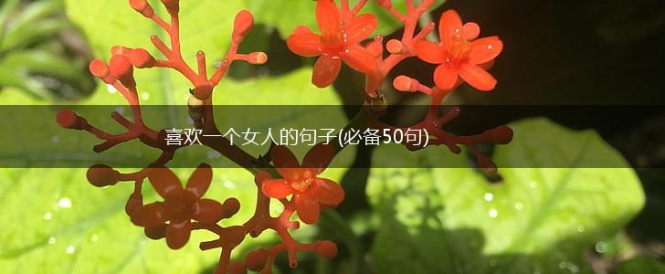 喜欢一个女人的句子(必备50句),第1张