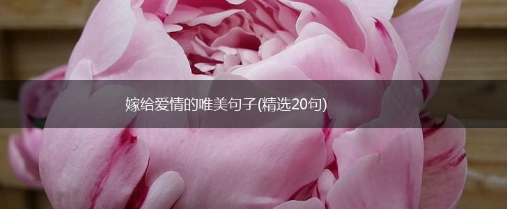 嫁给爱情的唯美句子(精选20句),第1张