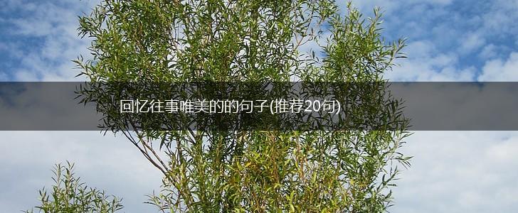 回忆往事唯美的的句子(推荐20句),第1张