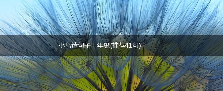 小鸟造句子一年级(推荐41句),第1张