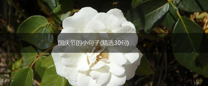 国庆节的小句子(精选30句),第1张