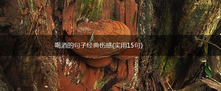喝酒的句子经典伤感(实用15句),第1张