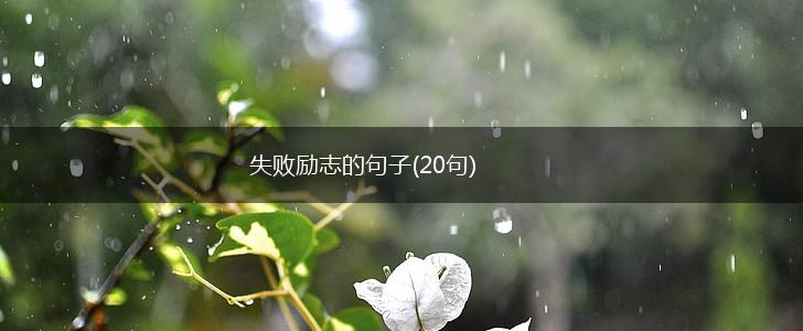 失败励志的句子(20句),第1张