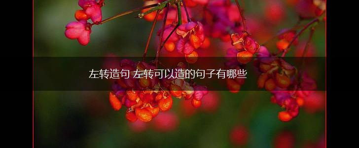 左转造句 左转可以造的句子有哪些,第1张