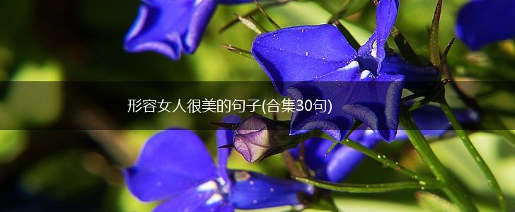 形容女人很美的句子(合集30句),第1张
