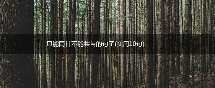 只能同甘不能共苦的句子(实用10句),第1张