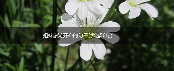 姐妹旅游开心的句子(优选50句),第1张