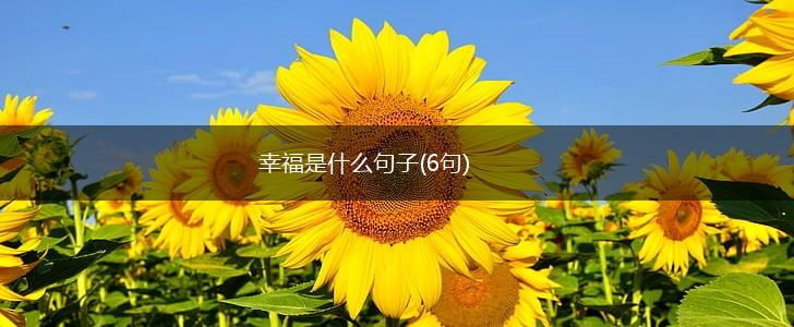 幸福是什么句子(6句),第1张