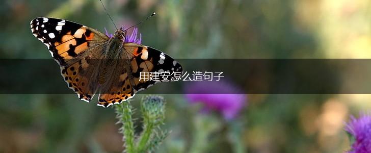 用建安怎么造句子,第1张 用建安怎么造句子,第1张