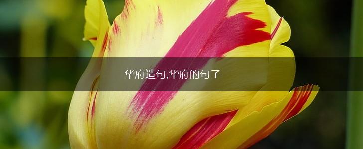 华府造句,华府的句子,第1张 华府造句,华府的句子,第1张