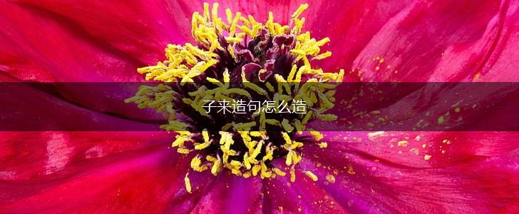 子来造句怎么造,第1张