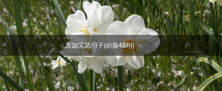 友谊文艺句子(必备48句),第1张