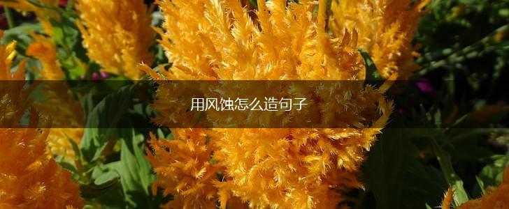 用风蚀怎么造句子,第1张 用风蚀怎么造句子,第1张