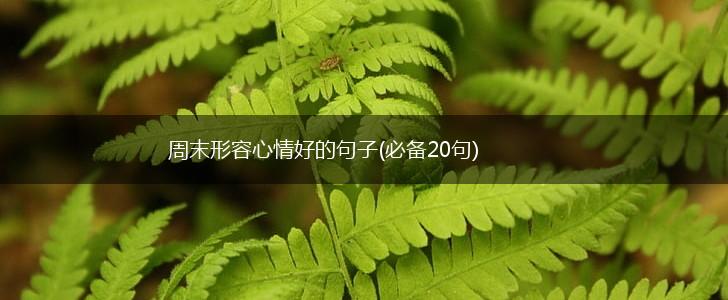 周末形容心情好的句子(必备20句),第1张