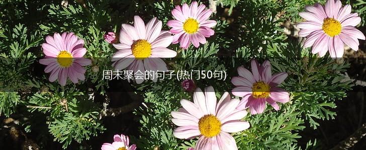 周末聚会的句子(热门50句),第1张