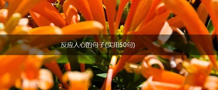 反应人心的句子(实用50句),第1张