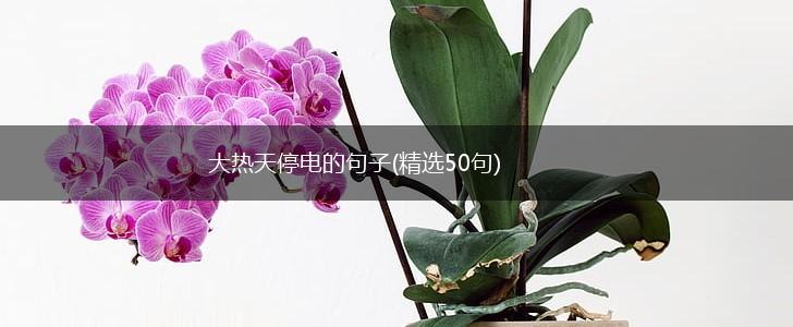 大热天停电的句子(精选50句),第1张
