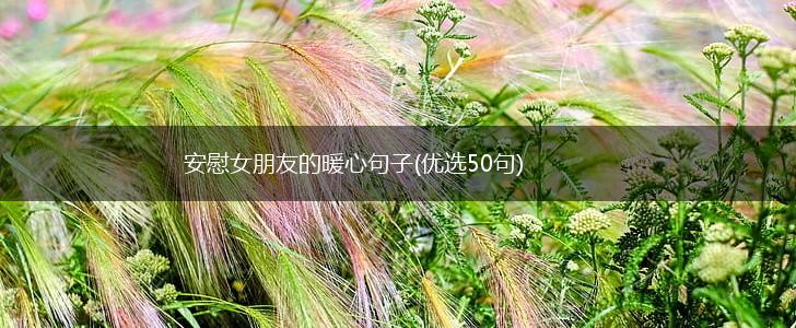 安慰女朋友的暖心句子(优选50句),第1张