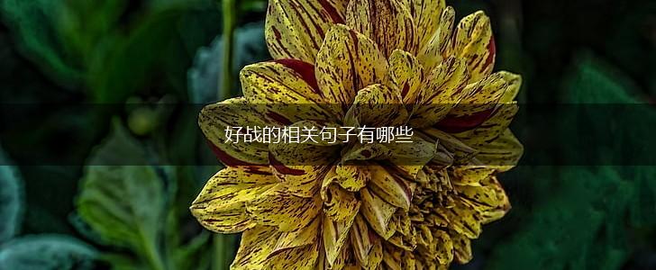 好战的相关句子有哪些,第1张 好战的相关句子有哪些,第1张