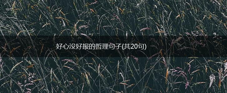 好心没好报的哲理句子(共20句),第1张