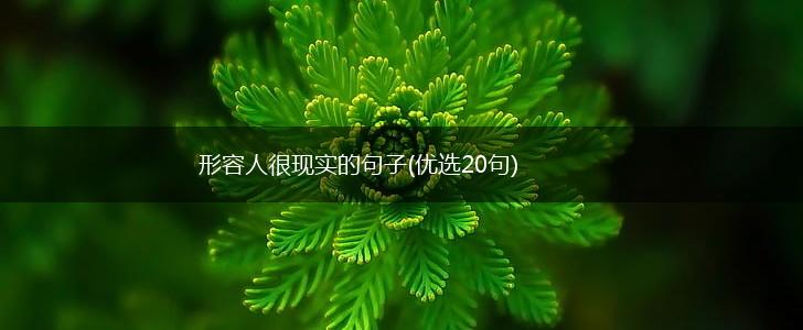 形容人很现实的句子(优选20句),第1张