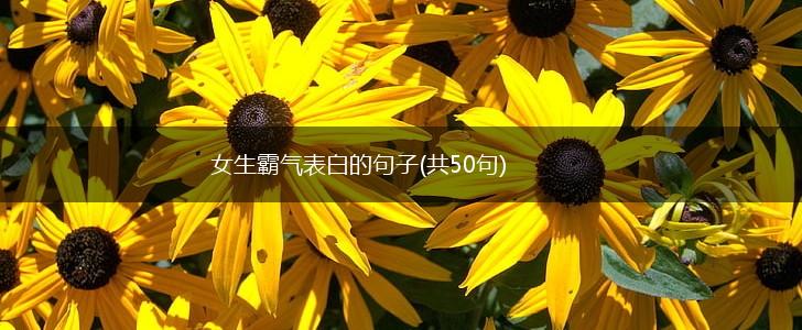 女生霸气表白的句子(共50句),第1张