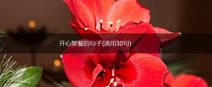开心聚餐的句子(通用30句),第1张