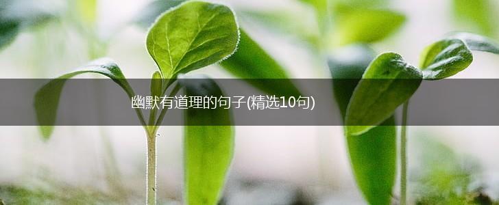 幽默有道理的句子(精选10句),第1张