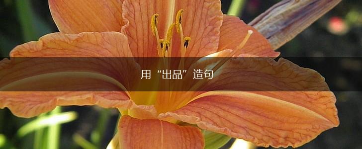 用“出品”造句,第1张