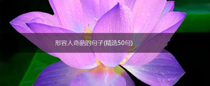 形容人奇葩的句子(精选50句),第1张