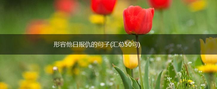 形容他日报仇的句子(汇总50句),第1张